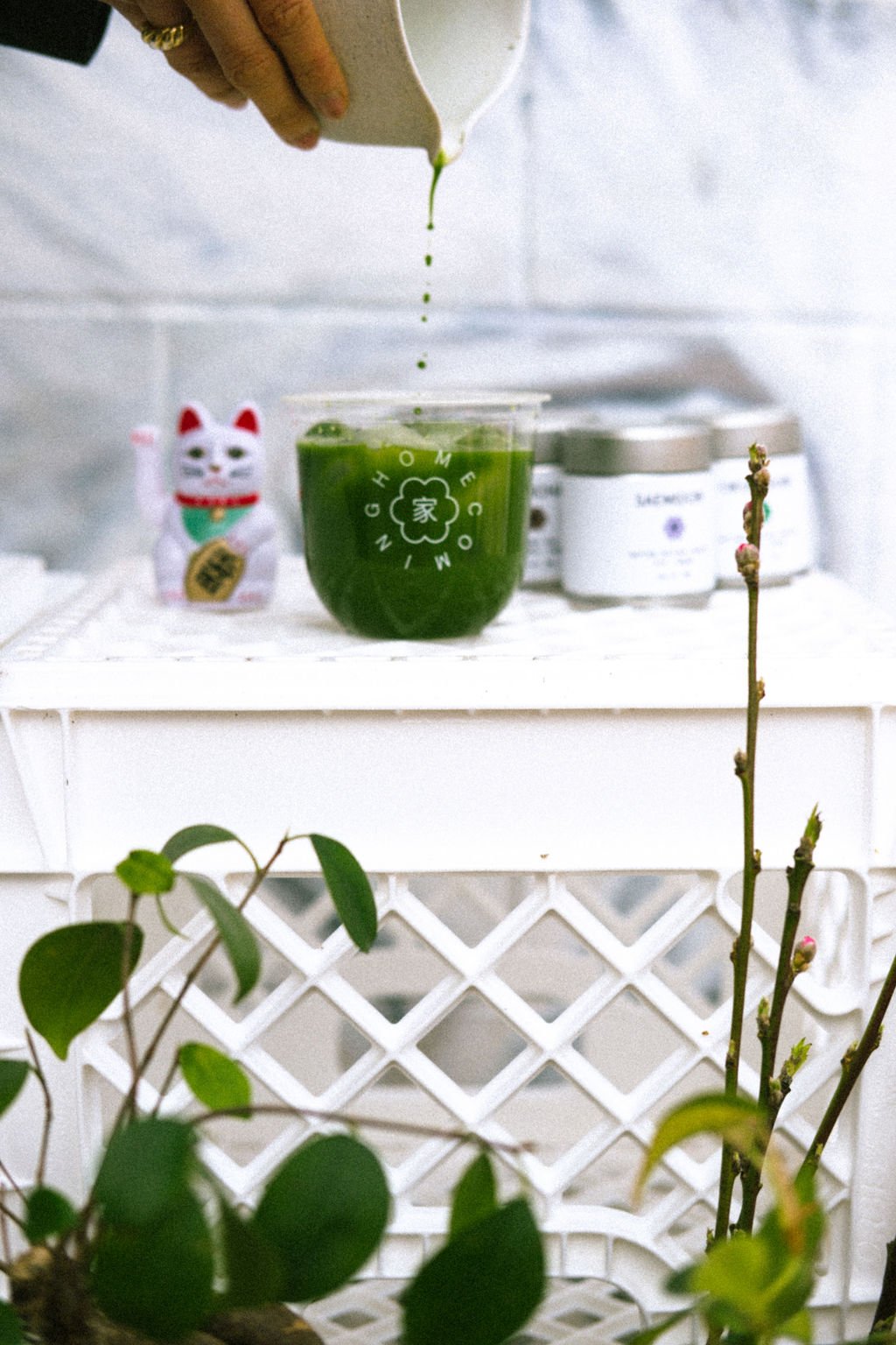 Saemidori matcha prepared as koicha