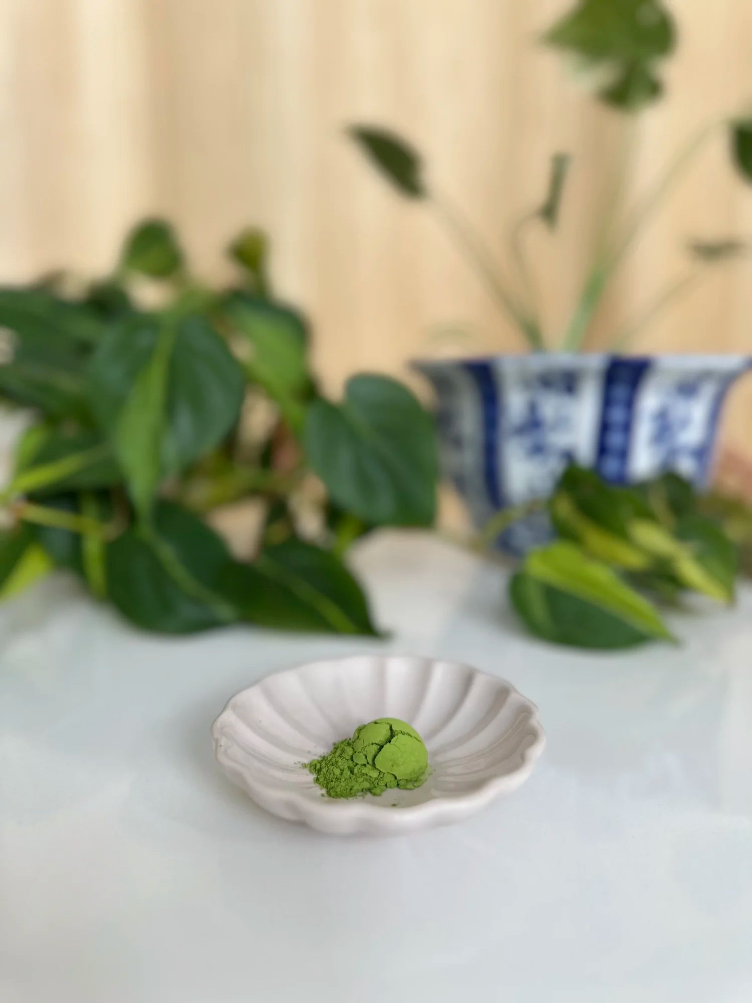 Vibrant green Uji Blend matcha powder