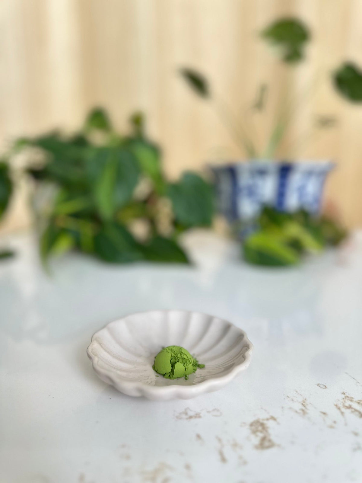 Vibrant Saemidori matcha powder